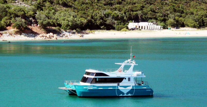 setubal-dolphin-watching-tour