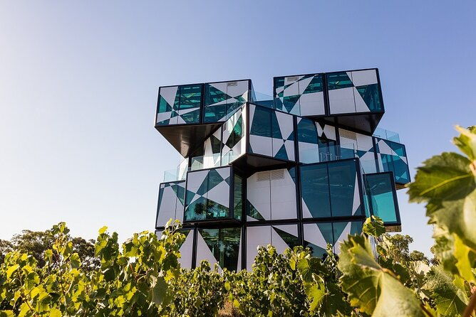 Shared Wine Taste Experience The Dead Arm Distinction - The Experience Itself: What You Can Expect
