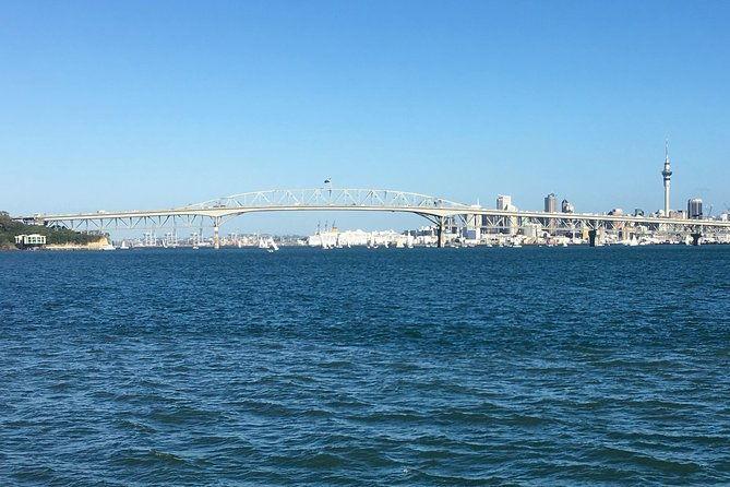 Shore Excursion: Half Day Small Group Auckland Scenic Tour - 4 HOURS - FAQ