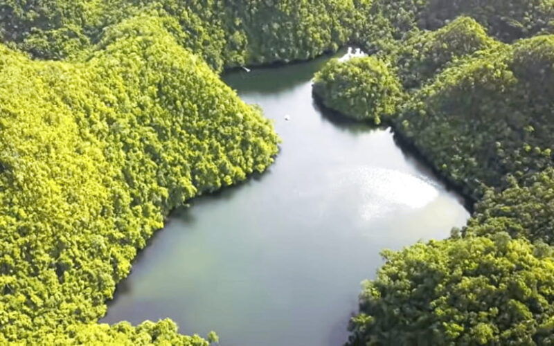 siargao-tour-l-private-tour