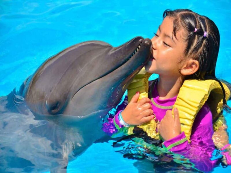 side-alanya-swimming-with-dolphins