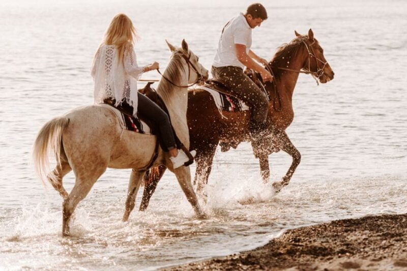 side-horseback-riding-tour-in-nature-with-transfer