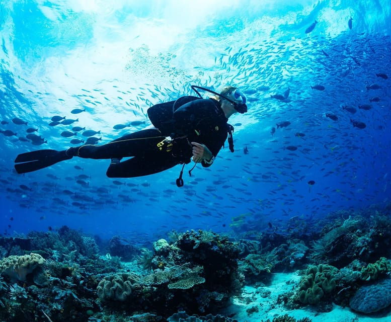 side-scuba-diving-tour-journey-to-the-depths-of-the-blue