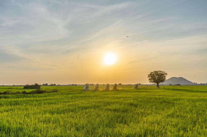 siem-reap-sunset-guided-vespa-tour-local-villages