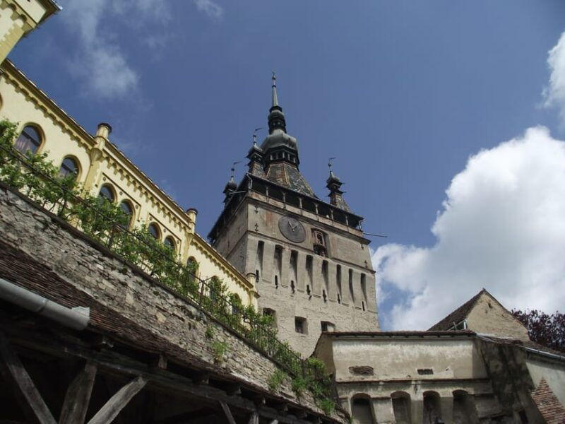 sighisoara-unesco-wine-tasting-from-cluj