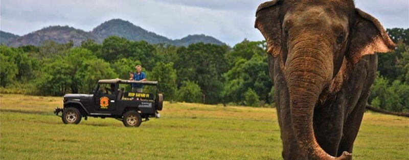sigiriya-dambulla-with-jeep-safari-tour-from-pasikudah