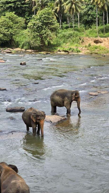 sigiryas-wildlife-experience