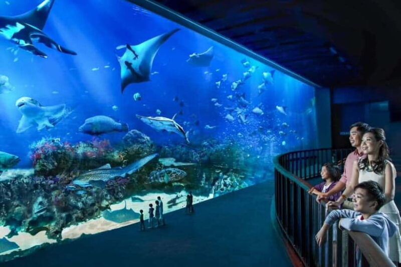 singapore-s-e-a-aquarium-entrance-e-ticket