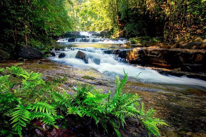 Sinharaja Rain Forest Tour from Colombo - Who Should Consider This Tour?