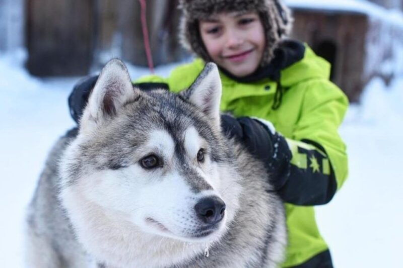sirkka-husky-sled-ride-in-levi