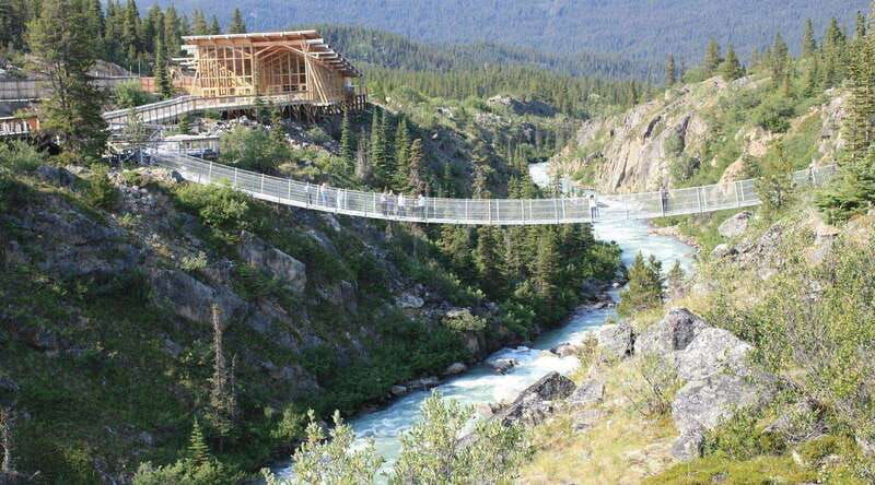skagway-yukon-suspension-bridge-summit-tour-2