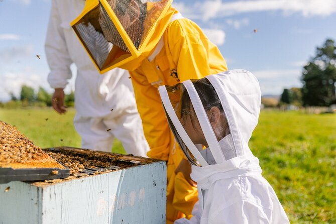 Small-Group Beekeeping Experience in Tauherenikau - Real-World Insights from Reviewers