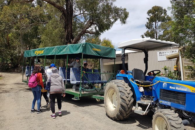 Small-Group Tractor Tour at Rayners Orchard from Melbourne - The Sum Up: Is This Tour for You?