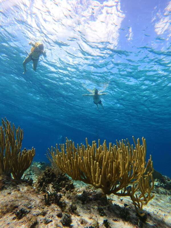 snorkel-along-the-coast-with-chivis-del-mar
