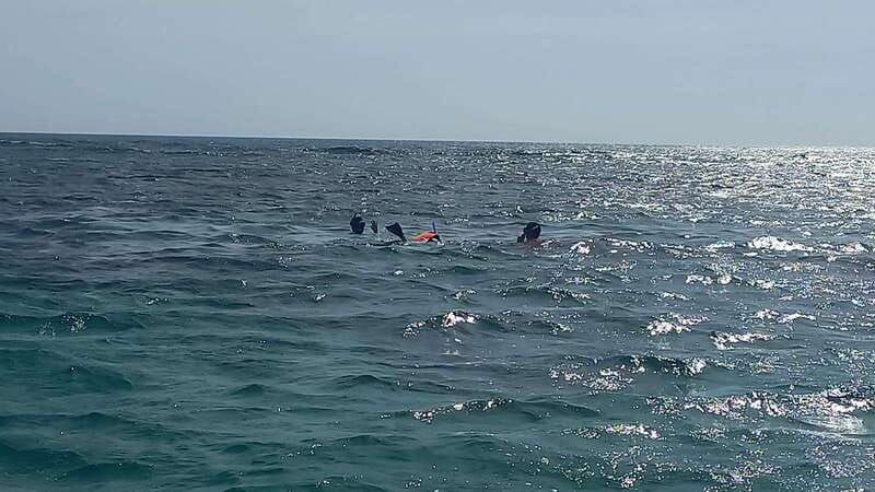snorkeling-express-puerto-morelos