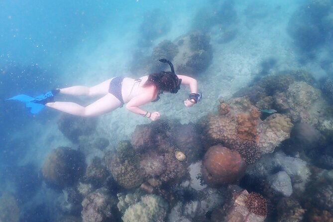 Snorkeling Full Day Experience from Bangkok - Practical Details: What to Expect