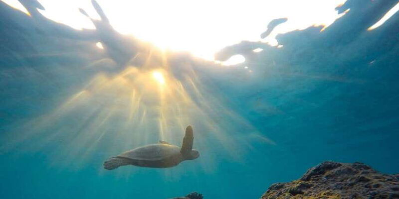 snorkeling-in-negombo