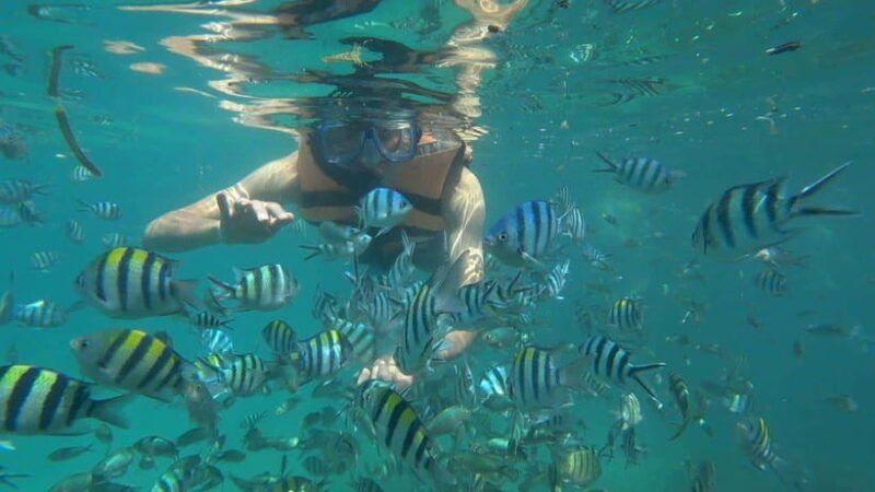 snorkeling-kayaking-fishing-swimming-activities