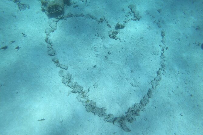 Snorkeling picnic in 5 hours with lunch in Tahiti - The Review Highlights from Past Travelers