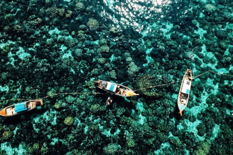 snorkeling-program-1-private-boat-lunch-included