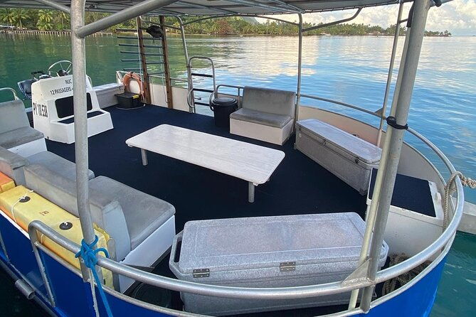 Snorkeling Tour in Tahiti on Punaauia - Practical Details: What to Expect