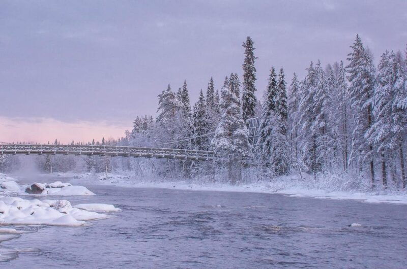 snowshoe-experience-with-traditional-beverages-in-lapland