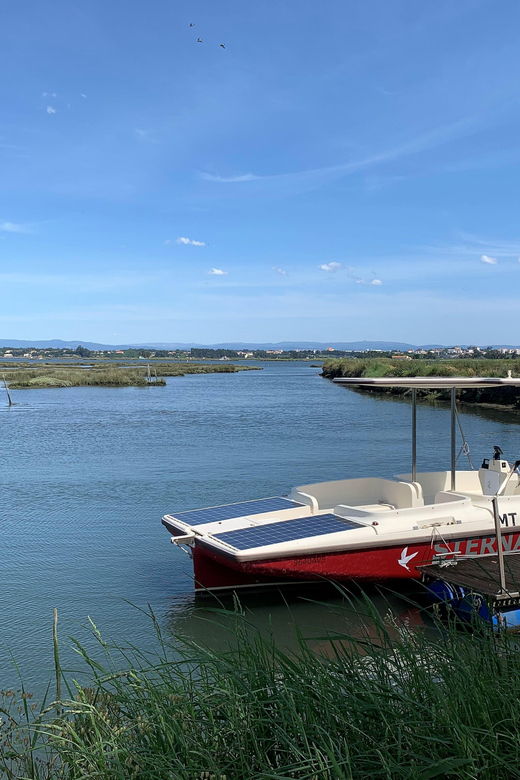 solar-boat-tour-along-the-salgado-da-ria-de-aveiro