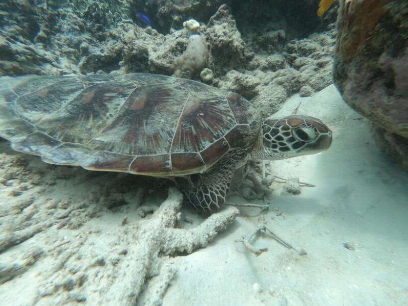southwest-secret-giligili-layargili-gedegili-rengit