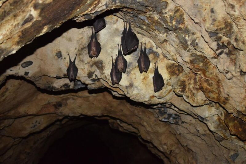 speleology-in-the-arouca-geoparks-tungsten-mines