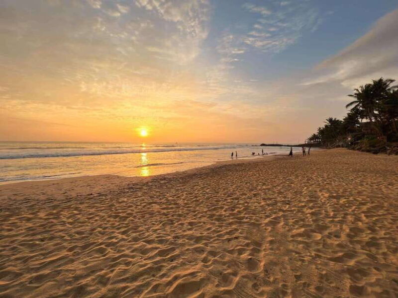 sri-lanka-3-day-2night-south-coast-tour-with-whale-watching