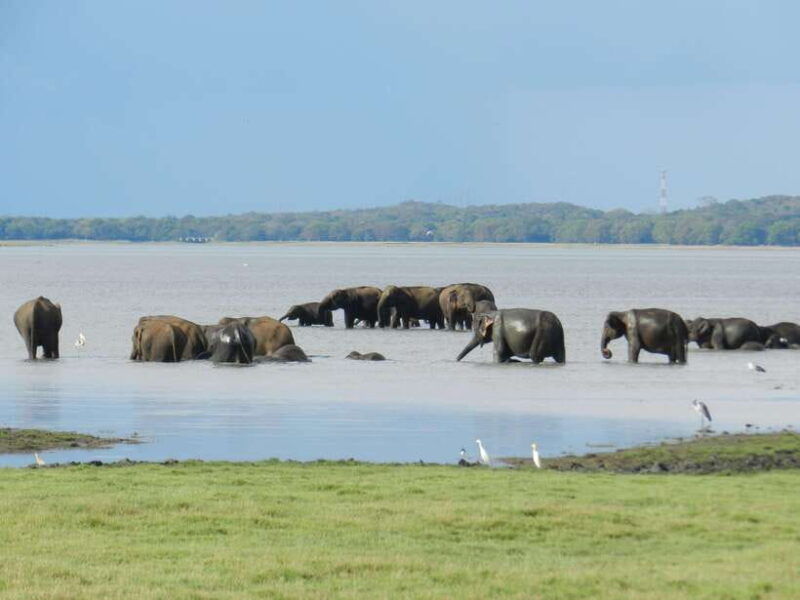 sri-lanka-4-day-tour-ancient-ruins-wildlife-hill-country