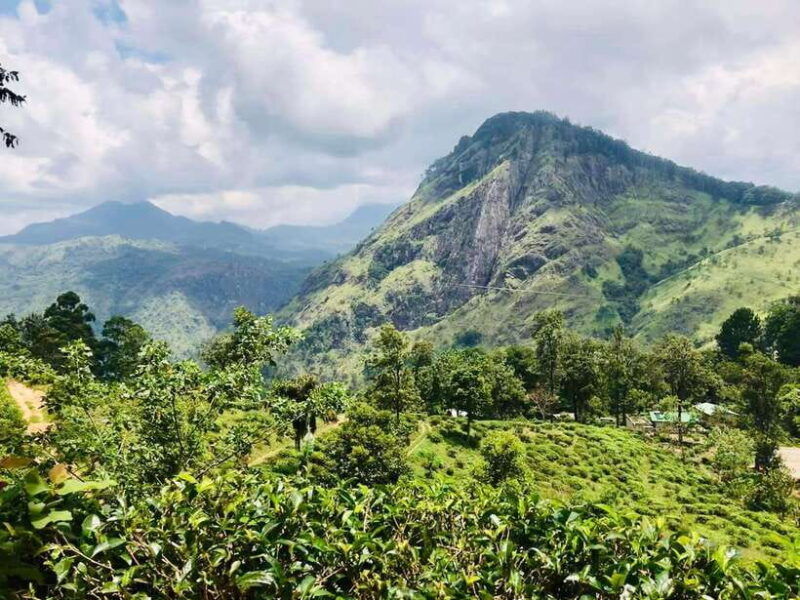 sri-lanka-private-3-nights-tour-transport-guide-hotels
