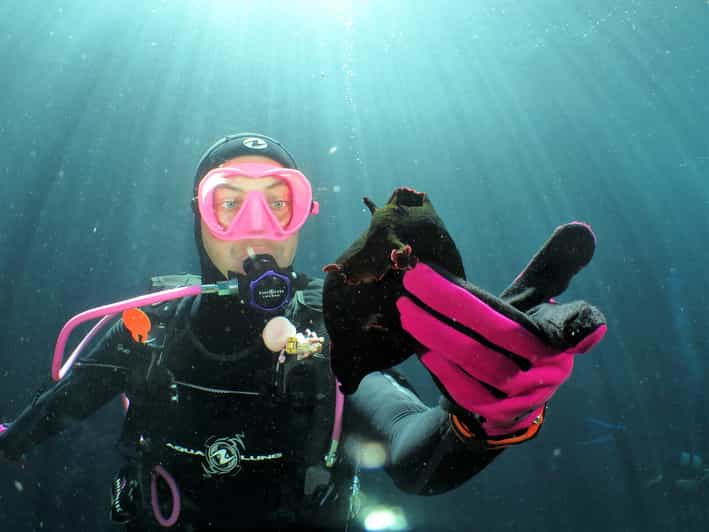 ssi-try-scuba-diving-in-the-sea