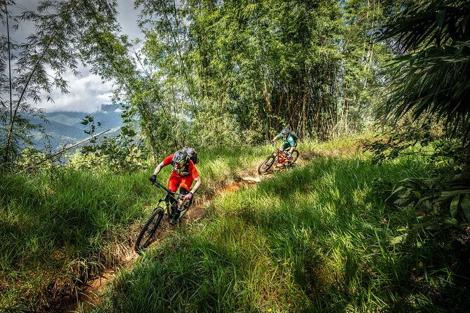 Stairway to Heaven Trail Mountain Biking Tour Chiang Mai - Value and Practical Considerations