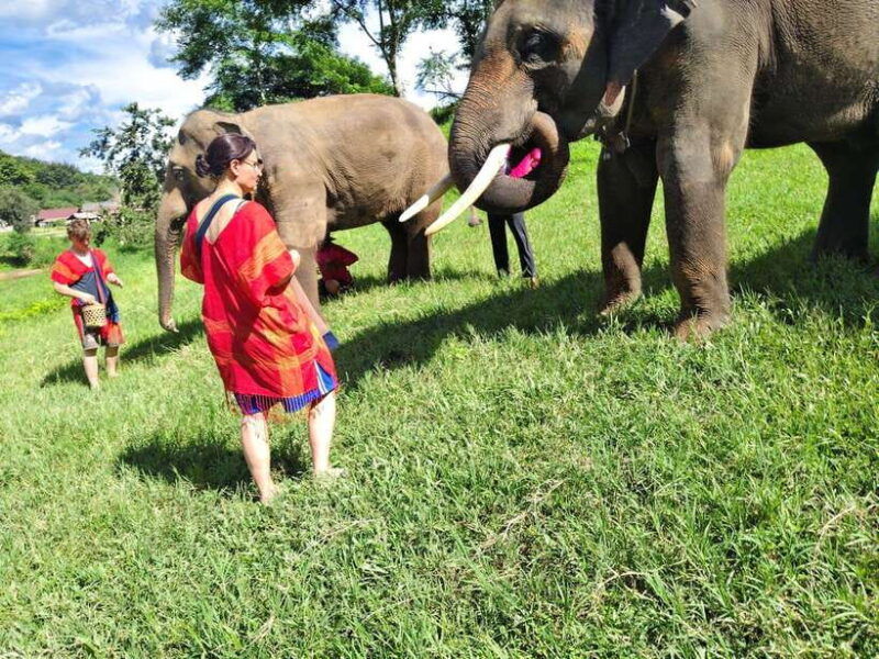 sticky-waterfalls-elephants-bamboo-or-white-water-rafting