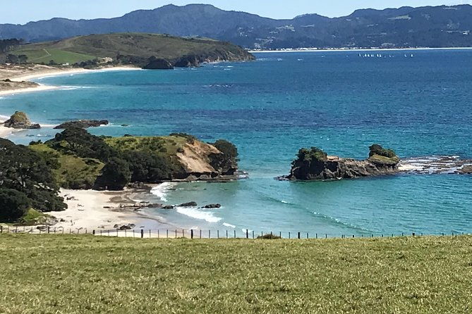 Stunning Auckland East Coast Walk & Wine Private Tour - FAQs