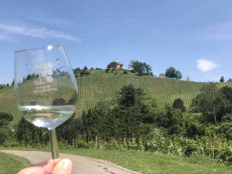 stuttgart-2-hour-vineyard-hike-with-tastings