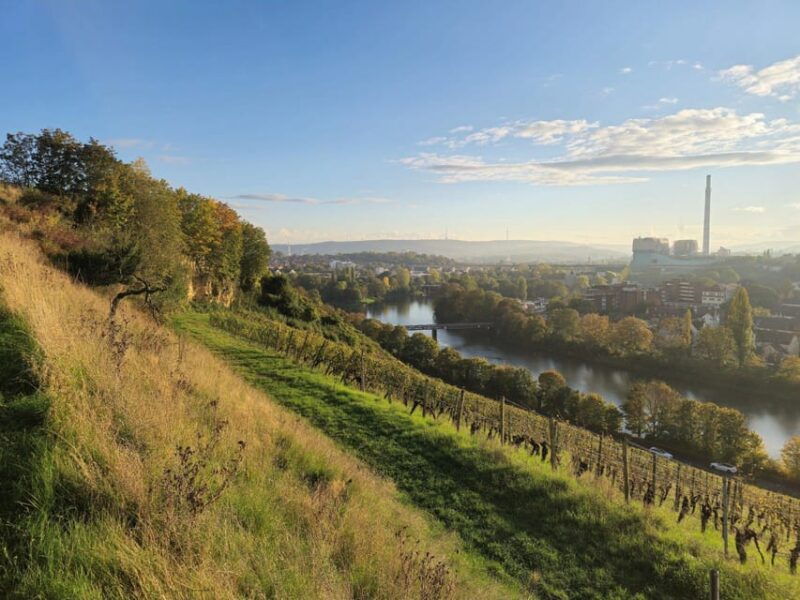 stuttgart-wine-tapas-boat-tour-on-the-neckar