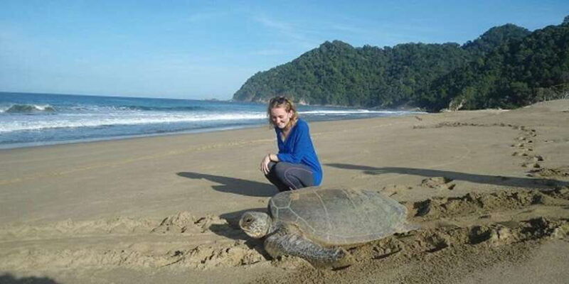 sukamade-a-private-tour-to-see-turtle-lay-egg-2d-1n