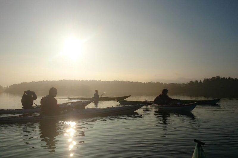 summer-evening-in-a-sea-kayak-turku-archipelago