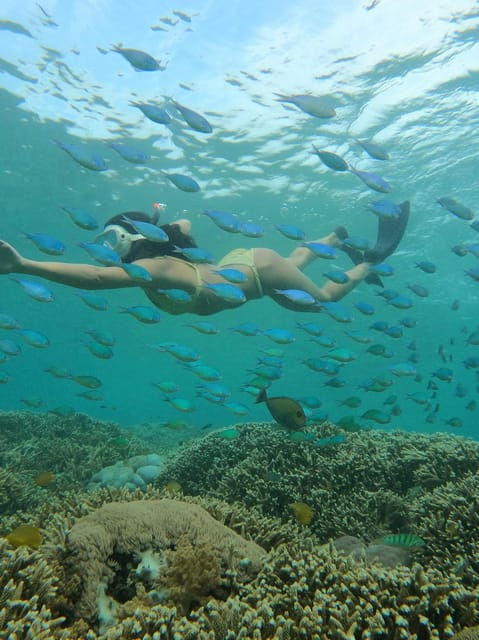 sunset-shared-snorkeling-trip