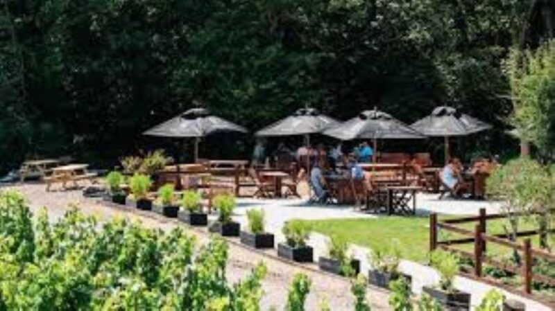 sussex-vineyard-tour-by-minibus-pick-up-and-drop-off