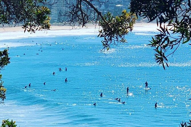 Sydney Arrival or Layover Private Sightseeing Tour - Who Should Consider This Tour?