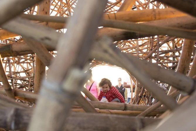 Sydney Layover Tour with a Local: 100% Personalized & Private - What About the Cost?