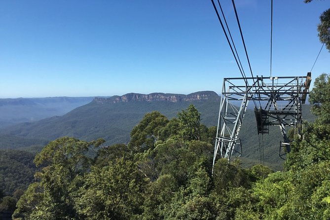 Sydney to Blue Mountains Day Tour - Luxury Vehicle 5 to 7 Guests - Transportation and Comfort