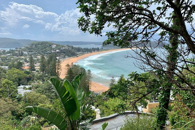 Sydney's Northern Beaches & Ku-ring-gai National Park Small Tour departing Manly - Final Thoughts