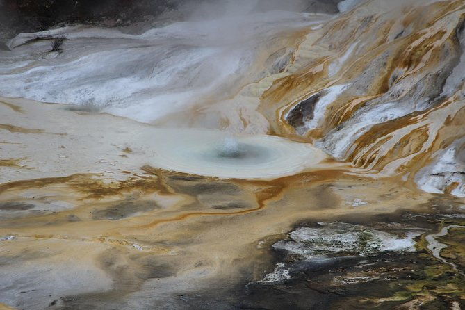 Taupo Day Trip with Orakei Korako or Waiotapu from Rotorua - The Geothermal Wonders