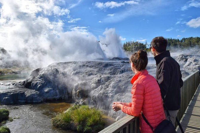 Tauranga to Rotorua. "Te Puia" Geysers. Private Shore Excursion - Who Is This Tour Best For?