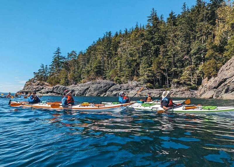 telegraph-cove-day-trip-kayaking-tour
