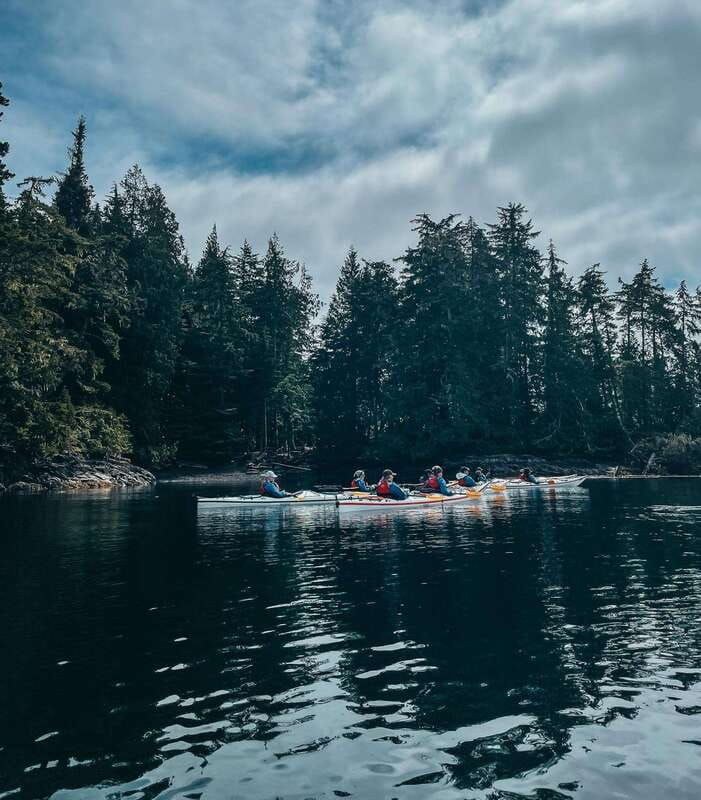 telegraph-cove-half-day-kayaking-tour